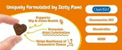 Points to the treat with multiple callouts explaining how its key ingredients support joint health, lubrication, and connective tissue.