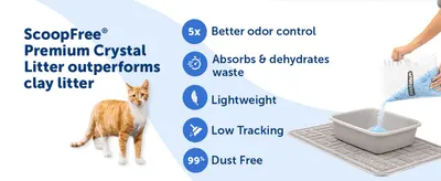 Lists five key litter benefits with icons so shoppers see why crystal litter beats clay at a glance.