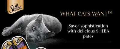 Establishes Sheba as a premium, sophisticated cat food brand through tagline messaging and an aspirational cat photo.