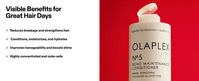 Lists four distinct hair benefits in a checkmark format to show the range of results the conditioner delivers.