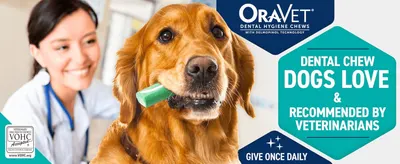 Introduces the OraVet brand with a headline claim that dogs love the chew and vets recommend it, building trust and appetite appeal. Introduces the OraVet brand with a headline claim that dogs love…