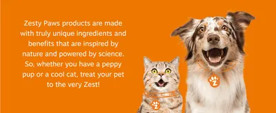 Explains the brand's nature-inspired, science-powered approach for both dogs and cats to build an emotional connection with pet owners.
