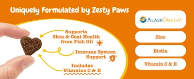 Shows skin and coat, immune and vitamin benefits alongside key ingredients so shoppers see what the chew delivers.