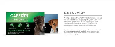 Shows the tablet pack beside a short explanation of a single daily dose, reassuring shoppers it is simple and safe to use.