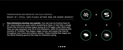Explains why fleas can persist after a dose, so shoppers understand the treatment and keep using it.