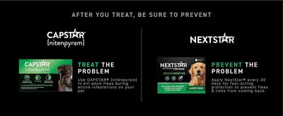 Pairs Capstar for treating fleas with NextStar for preventing them, encouraging shoppers to buy both from the same brand.