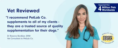 Uses a veterinarian's personal recommendation to build clinical trust in the product's quality. Displays a third-party quality certification to reassure shoppers the supplement meets industry…