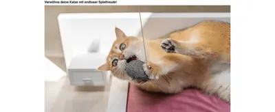 Shows a cat playing with the toy to promise hours of play for your pet. Places the toy in a real home setting so shoppers picture their own cat playing.