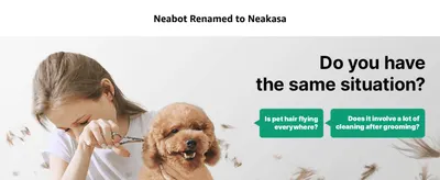 Poses relatable grooming pain points (flying pet hair, heavy cleanup) to prime shoppers for the product's solution.