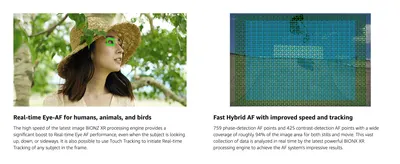 Demonstrates two autofocus strengths, subject eye tracking and wide-area hybrid AF, to reassure shoppers of fast, reliable focus.