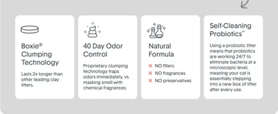Breaks down four distinct product benefits in a segmented grid so shoppers can quickly scan the litter's key selling points.