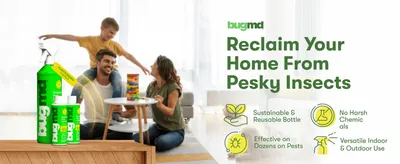 Highlights four distinct product benefits (sustainable packaging, no harsh chemicals, broad pest effectiveness, indoor/outdoor use) to reassure shoppers of safety and versatility.