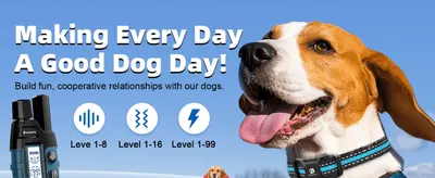 Communicates the brand's mission of building a fun, cooperative relationship with dogs to create an emotional connection with shoppers. Highlights the three customizable stimulation level settings…