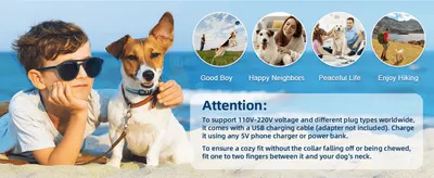 Shows the collar fitting into multiple everyday scenarios (walks, socializing, hikes) to reassure the shopper it suits an active dog's lifestyle. Explains how to charge the collar with a universal…