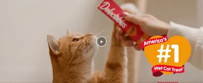Positions Delectables as America's number one wet cat treat with a video hero, building trust and category leadership.