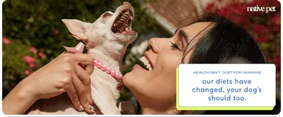 Sets up the brand's belief that dogs' diets need to change, building an emotional connection with pet owners. Uses one warm lifestyle scene and a single headline to make one clear claim about dog…