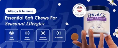 Lists four allergy symptoms the chews target, so shoppers see at a glance that the product fits their dog's problem.