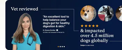 Uses a named vet's quote and a 4.5 million dogs claim to build expert trust in the product.