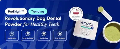 Highlights four distinct dental health benefits in an icon grid to convey comprehensive oral care in one glance. Reassures shoppers of quality and trust via a domestic manufacturing seal.