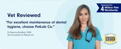 Uses a named veterinarian's quote to build professional credibility and trust in the product's dental hygiene benefits. Displays a third-party quality certification and pet count to reassure…