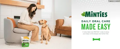 Introduces the Minties brand and positions its daily chew as an easy way to keep a dog's teeth clean.