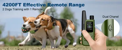 Highlights the remote's long effective range and dual-channel capability, reassuring shoppers it can train two dogs at once from a distance. Communicates that one remote can train two dogs…