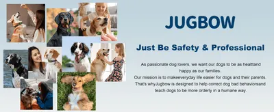 Introduces the Jugbow brand and its mission to make dog training safer and easier, building emotional trust with shoppers.