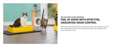 Reassures shoppers that the litter controls odor without fragrances or dyes, so the home stays fresh and neutral.