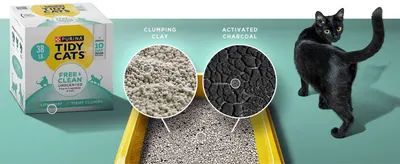 Zooms in on the litter's two ingredients to show what gives it tight clumps and odor control. Pairs the ingredient close-ups with low-dust and tight-clump claims so shoppers see several benefits at…