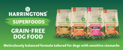 Presents the Harringtons grain-free range and its sensitive-stomach promise to build trust and help owners pick a flavour.