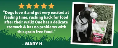 Shows a five-star customer quote about a dog with a delicate stomach to build trust through social proof. Pairs the quote with a real customer photo of a dog beside the product to make the praise…