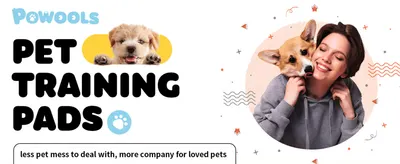 Introduces the Powools brand and its pet training pads product line to build brand recognition. Positions the pads as reducing pet mess so owners can spend more relaxed time with their pets.