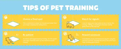 Walks shoppers through a simple 4-step process for training their pet to use the pad successfully.