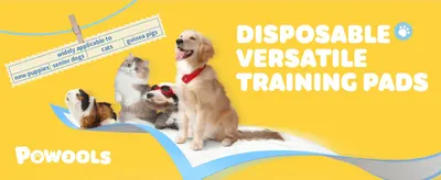 Shows the training pads work for puppies, senior dogs, cats and guinea pigs to reassure multi-pet households of versatility. Headlines the pads as disposable and versatile to signal one core selling…