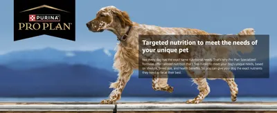 Presents Pro Plan's tailored-nutrition promise over a lifestyle photo of a dog, building trust in the brand's specialized formulas.