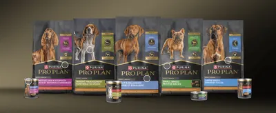 Shows the full Pro Plan range side by side so shoppers can see the options available for different dog needs.