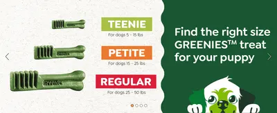 Helps shoppers pick the correct Greenies treat size for their puppy's weight from the product line.