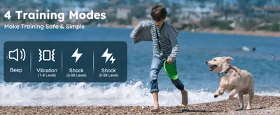 Shows the four selectable training modes (beep, vibration, two shock levels) so shoppers see the range of customizable control.