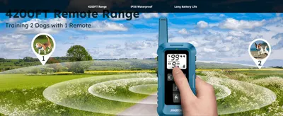 Highlights the long 4200ft remote range and dual-dog capability to show the collar works reliably at distance for multiple pets.