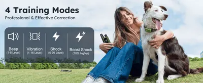 Shows the four selectable correction modes side by side so shoppers see the range of control the collar offers.