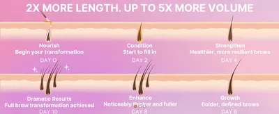 Shows the quantified growth results (2X length, 5X volume) achieved through a staged day-by-day usage timeline.