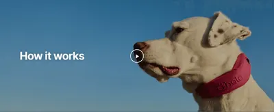 Invites shoppers to watch a short video explaining how the collar works to build understanding and confidence before purchase.