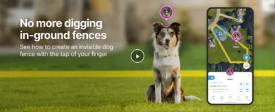 Points shoppers to a video showing how easy it is to set up an invisible fence via the app. Communicates the core convenience benefit that installation requires no physical digging.