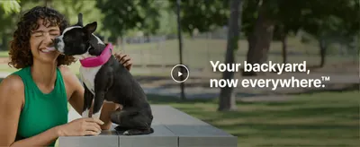 Communicates that the collar lets dogs roam freely anywhere, not just a fenced backyard.