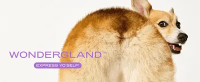 Introduces the WonderGland brand name and playful tagline to build recognition before the shopper reads feature details.