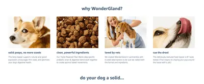 Highlights four distinct benefits (gland support, clean ingredients, vet approval, palatability) in a segmented grid to build a well-rounded case for the product.