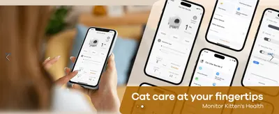 Shows the companion app so shoppers understand they can remotely monitor and manage their cat's litter box and health data.