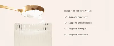 Lists the core physical benefits of creatine (recovery, brain function, strength, endurance) as a scannable checklist to reassure shoppers of its value.