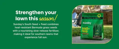Introduces the product's core benefit of strengthening southern lawns with heat-resistant seed and slow-release fertilizer.