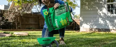 Shows a customer applying the product with a spreader in a real backyard setting to build usage confidence.
